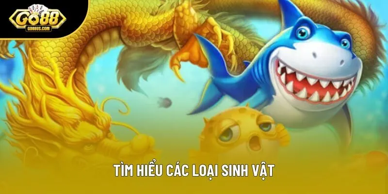 Tìm hiểu các loại sinh vật